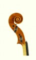 Violino - dettaglio