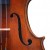 Violino Guarneri - dettaglio