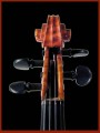 Violino Bignami - dettaglio