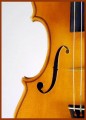 Violino Olimpia - dettaglio