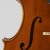 Cello - dettaglio
