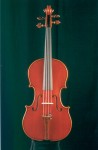 Violino Virdis