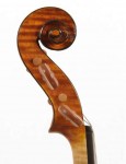 Violino 2004 - dettaglio